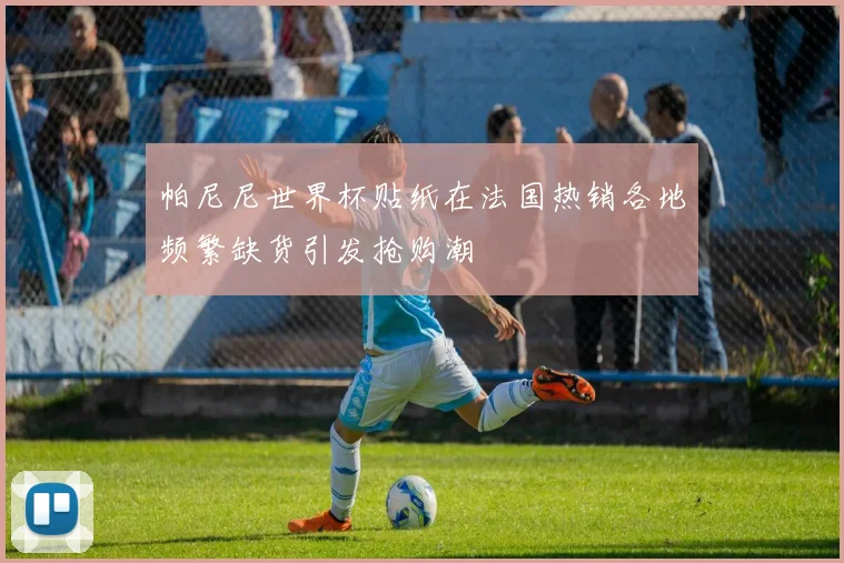 帕尼尼世界杯贴纸在法国热销各地频繁缺货引发抢购潮